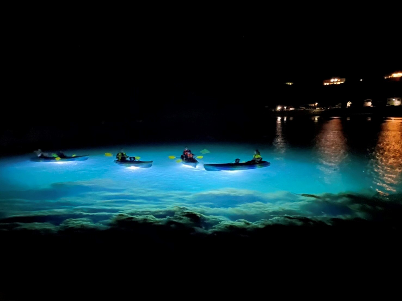 ȂȂ̌łȂiCgJbNcA[ł