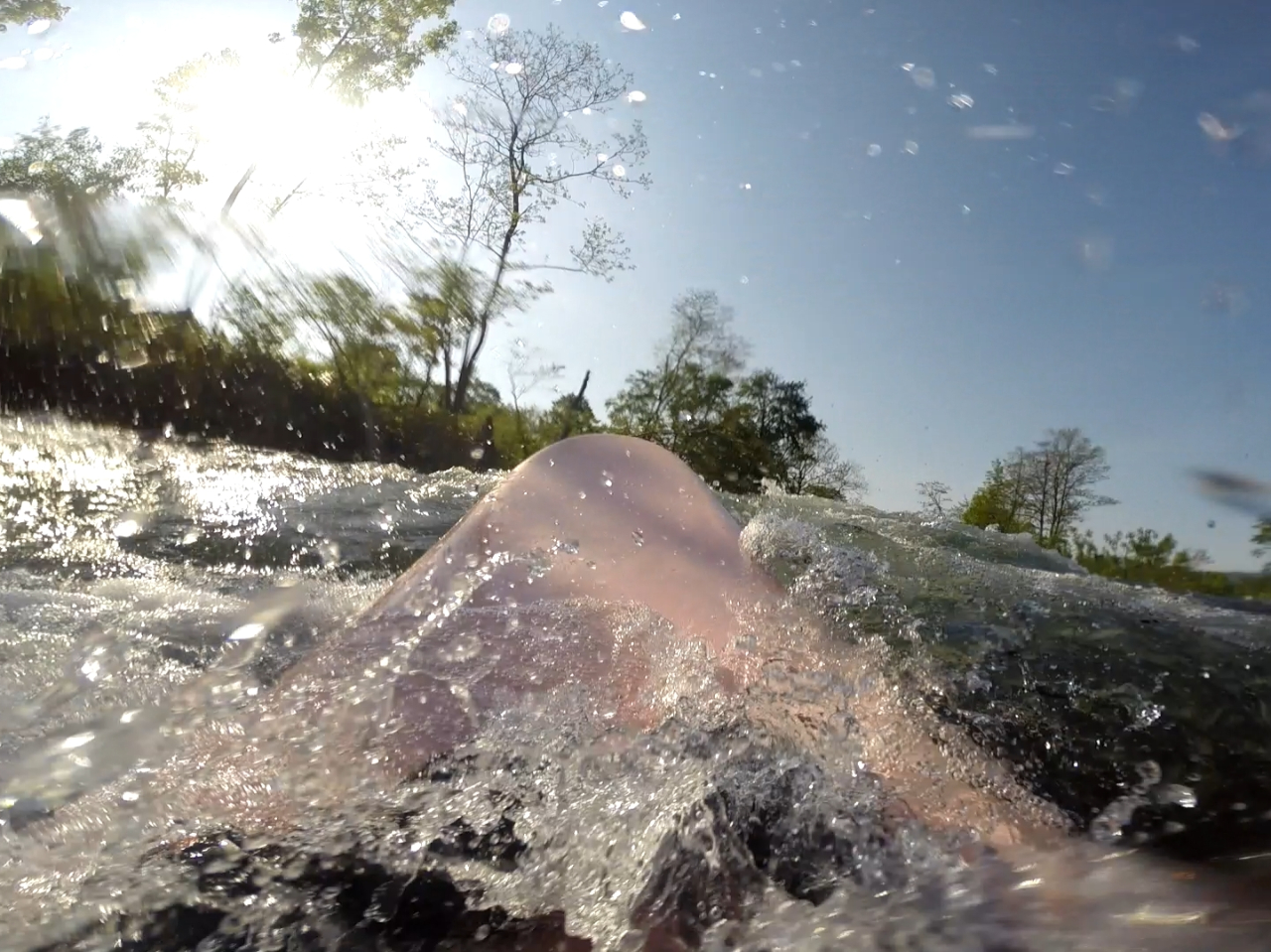 天気がいいとキラキラして最高です。