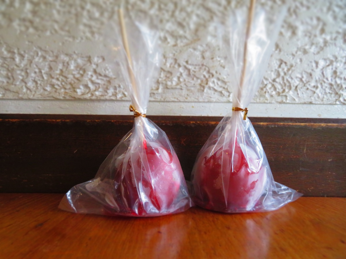 ACX񂲈BP{TTO~Ŕ̔B̃TNTNƂ񂲂̃W[V[܂ȂIiグ͉𓀂Kvj