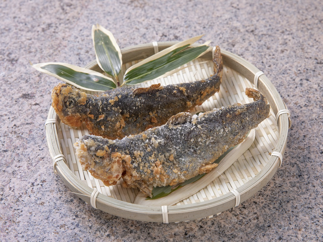 yj͕ʓrɂāû炠v񋟂I  O̓TNTNŒ͂ӂƁBlCiB