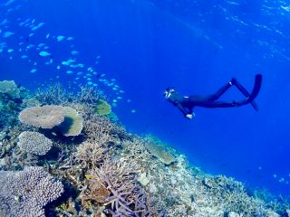 スキンダイビング