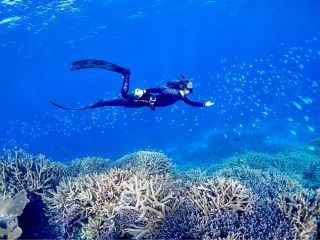一息で潜るヤビジの海の中
