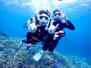サンゴの絨毯でダイビング♪