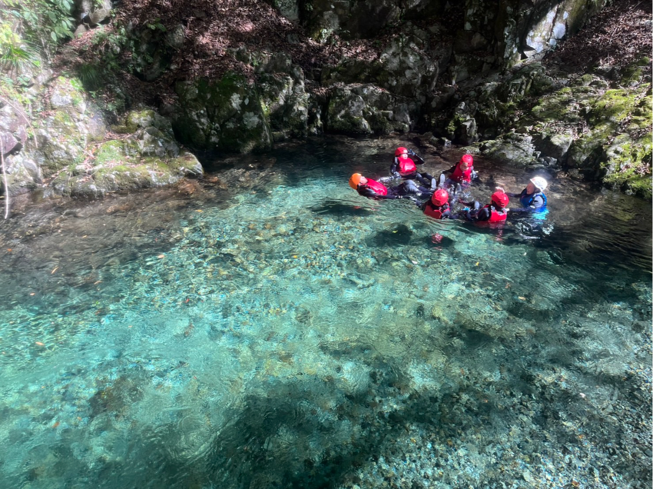 ֓̐A到BƂ납No鐴炩ȐƌkJ̔ɂƒN͂łB