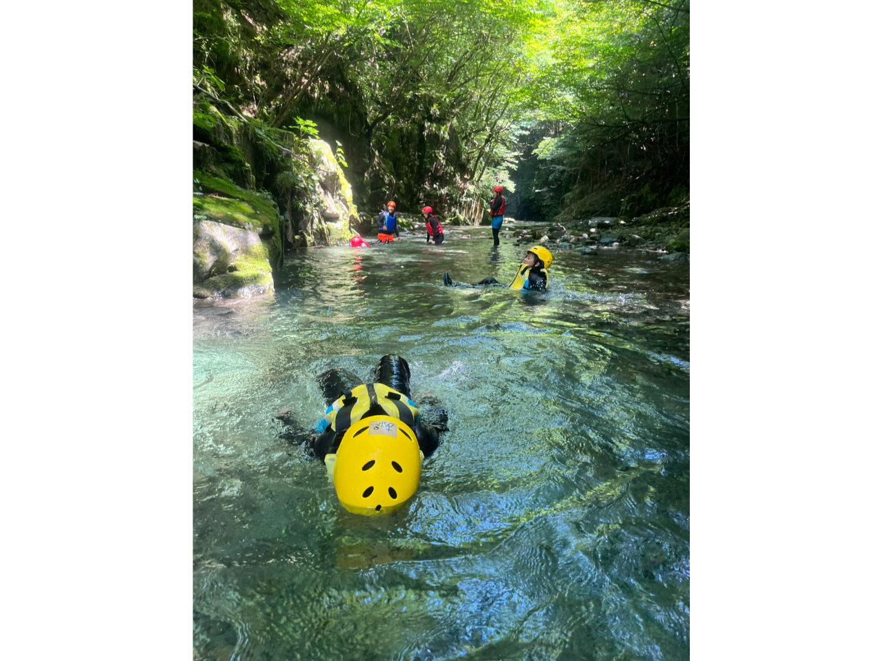 �֓�����̐����A�到��B����Ƃ��납��N���o�鐴�炩�Ȑ��ƌk�J�̔������ɂ����Ƒ�l���q�������������͂��ł��B
