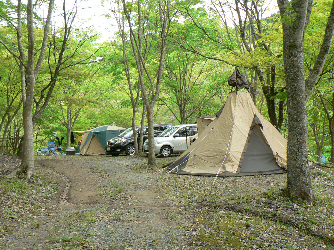 オートキャンプサイト 2番 3番