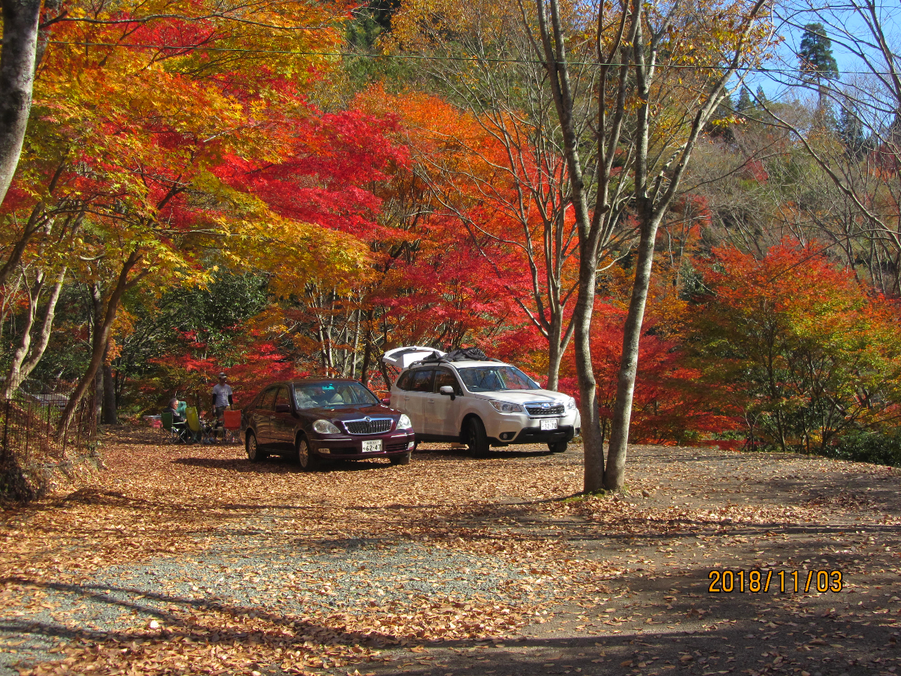 H̃I[gLvTCg@Qԁ@ԁEԁEԁE΁AĐ̗낵Ȃ̃Lv͍ō