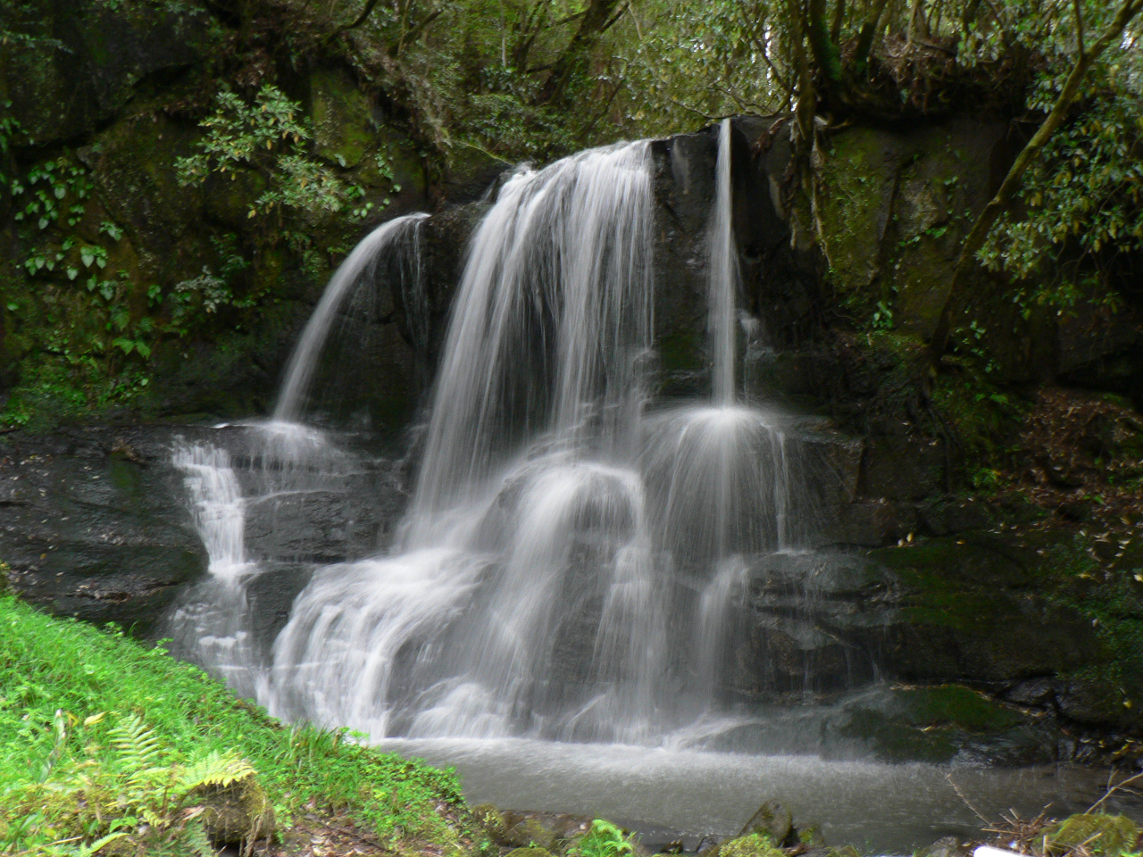 東側散策路の到達地点の倉本滝 管理棟から徒歩10分足らず。小さな滝ですが、数段に流れ降りる水しぶきが繊細で綺麗な滝です。途中にはかまど岩・岩えの木もご覧なれます