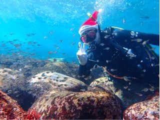 お一人からでも大丈夫!勇気を出して海の中覗いてみませんか?