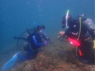 お子さんでもお一人さまでもライセンスをとって海の世界を覗きにいきませんか?