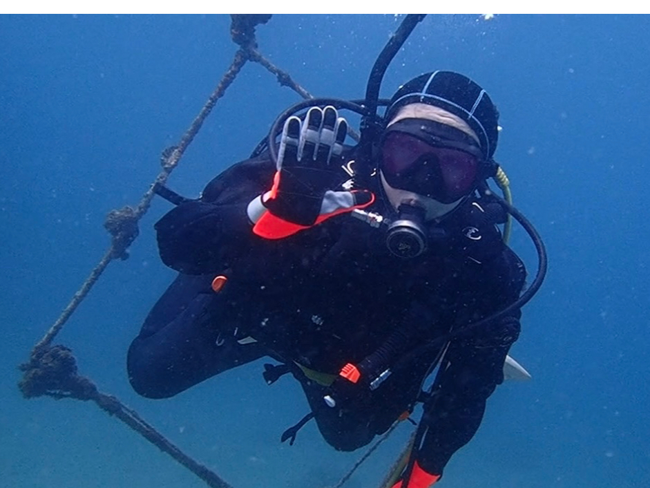 ŏ̃_CrÕCZXAI[vEH[^[̃CZXƂALCɂVтɂ郉CZXƂƂĂ֗I