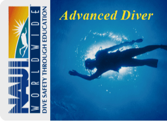 Ełgwĉm`th̃J[h𔭍s܂B