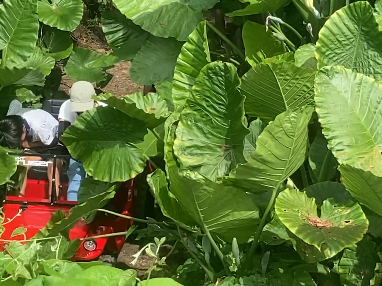 łH킸̗t˂đꏊȂ񂩂܂B̎Rł̂т̂шȗtxԋ߂Ōė~łB