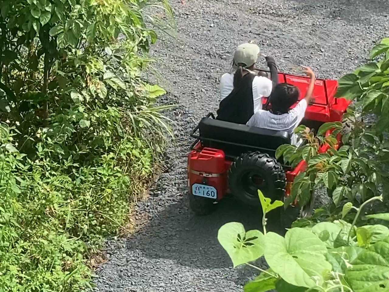 8̎^̃R[Xԓ݂؂̂ŎRɐiŊy߂܂B