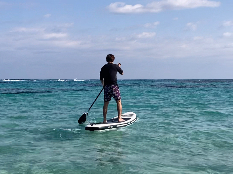 AqlłȂl݂̂̕ł̂p劽}łPlłvI