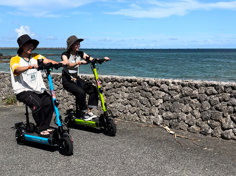 Ԃł͓Â炢C̋HW̏HȂ񂩂NNړł܂