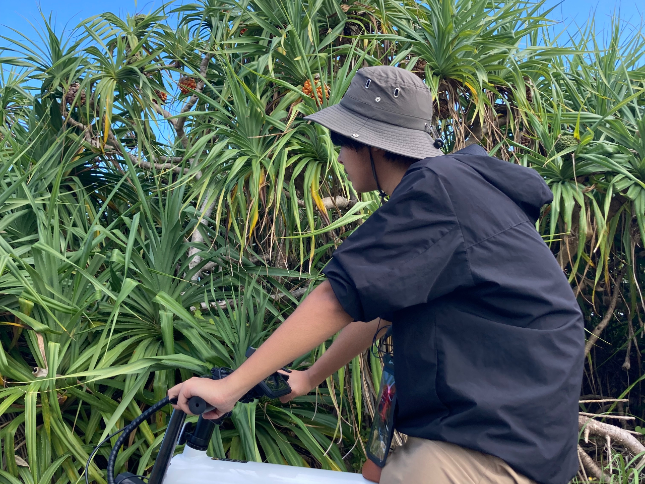 Ԃł͓Â炢C̋HW̏HȂ񂩂NNړł܂