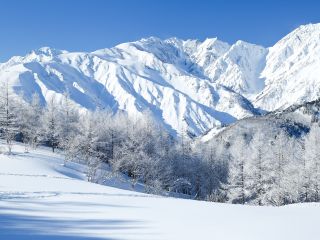 白馬岩岳マウンテンリゾート イメージ