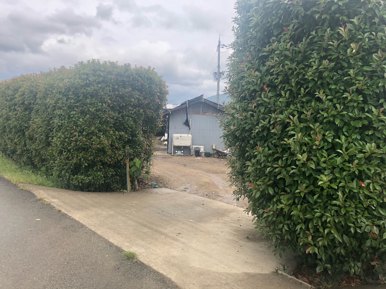 ���C���C�E�t�@�[���ł��I���Ԃ͂��̒��܂ł��i�݂����������Ԃł��܂��B