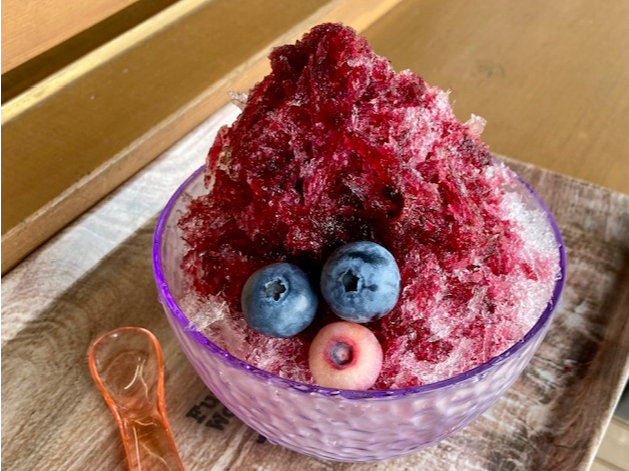 フランスブルーレンガン　/ 畑565 フランスブルーレンガン / 畑565