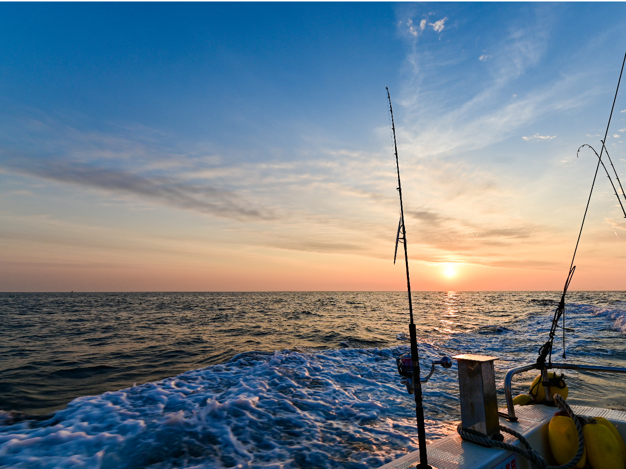 �ނ�̌���GO!