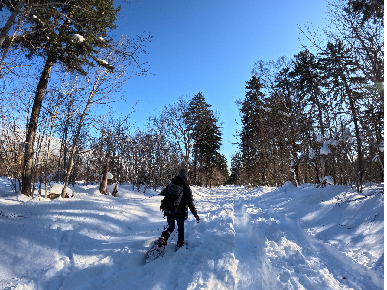 ӂӂ̐̓Xm[V[𗚂ƂǂǂႢ܂I