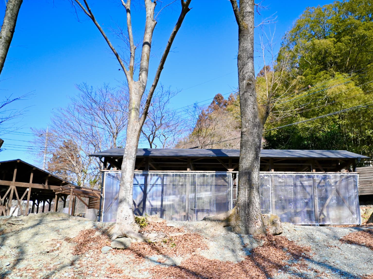 ~GBBQeXɕ悯芦΍BY΂łɂۂۂ