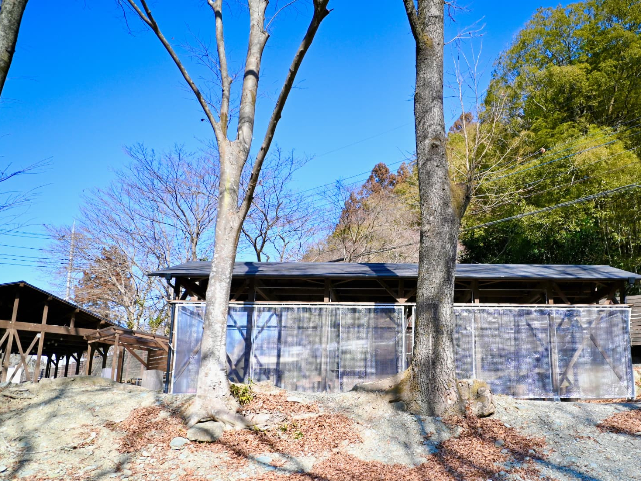 �~�G��BBQ�e���X�ɕ��悯����芦���΍�B�Y�΂ł���ɂۂ��ۂ���