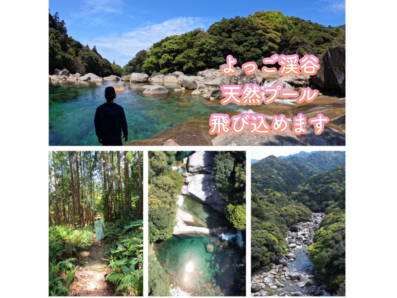 �V�R�v�[���̌�