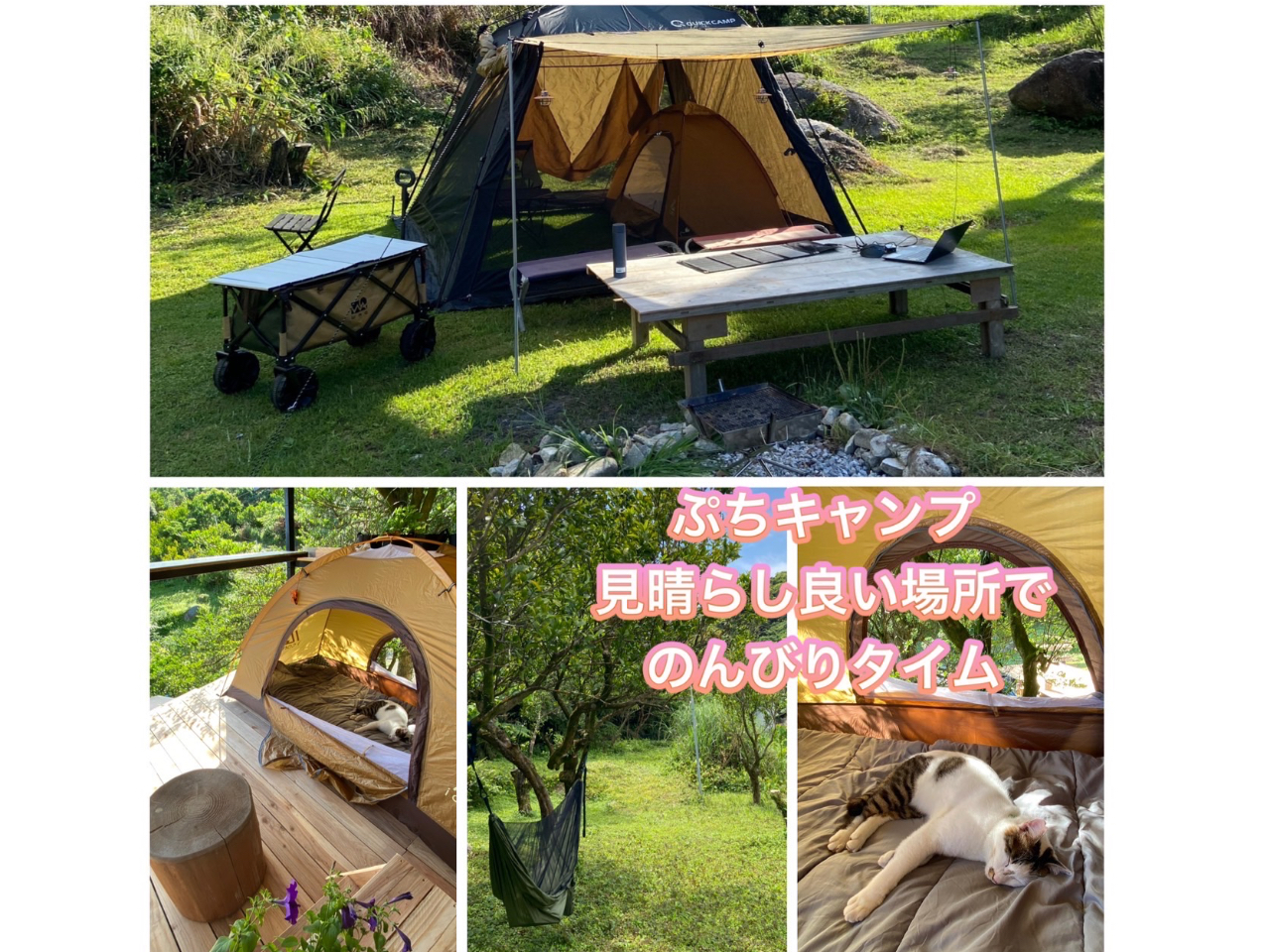 �L�����v�̌�