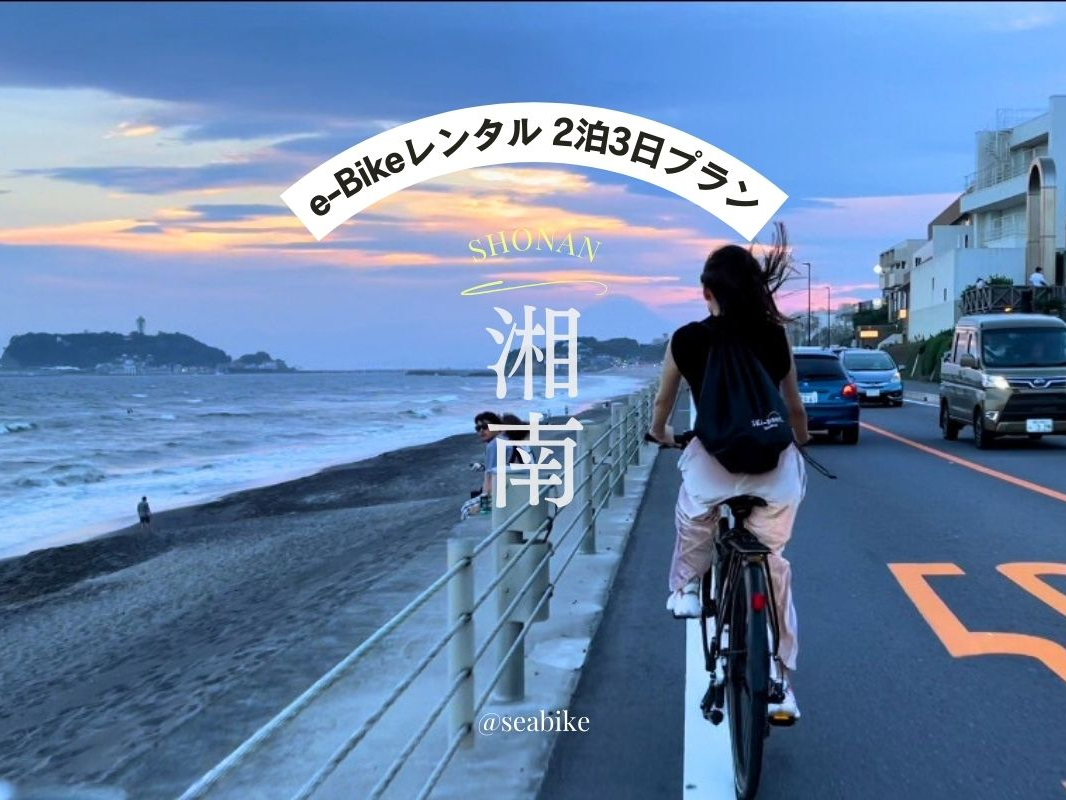 e-Bike�����^���@��2��3���v������