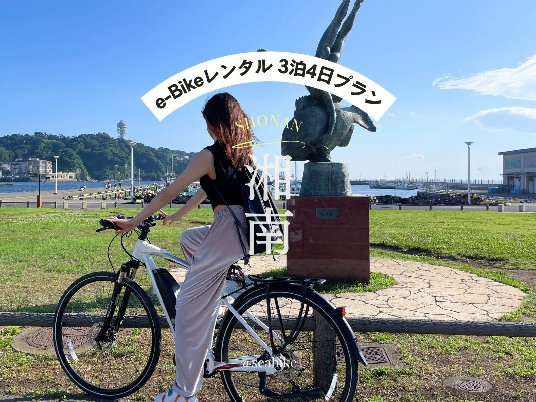 e-Bike�����^���@��3��4���v������