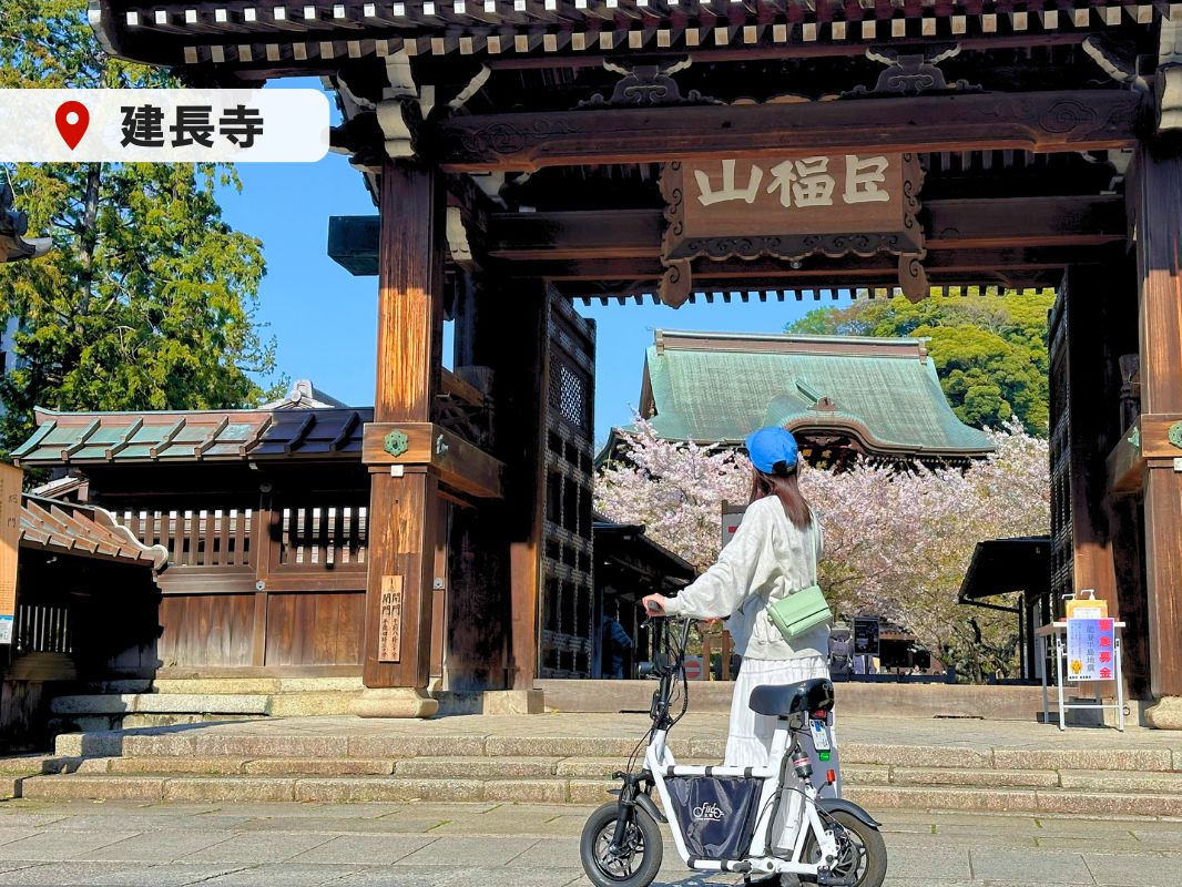 �y���q�z������