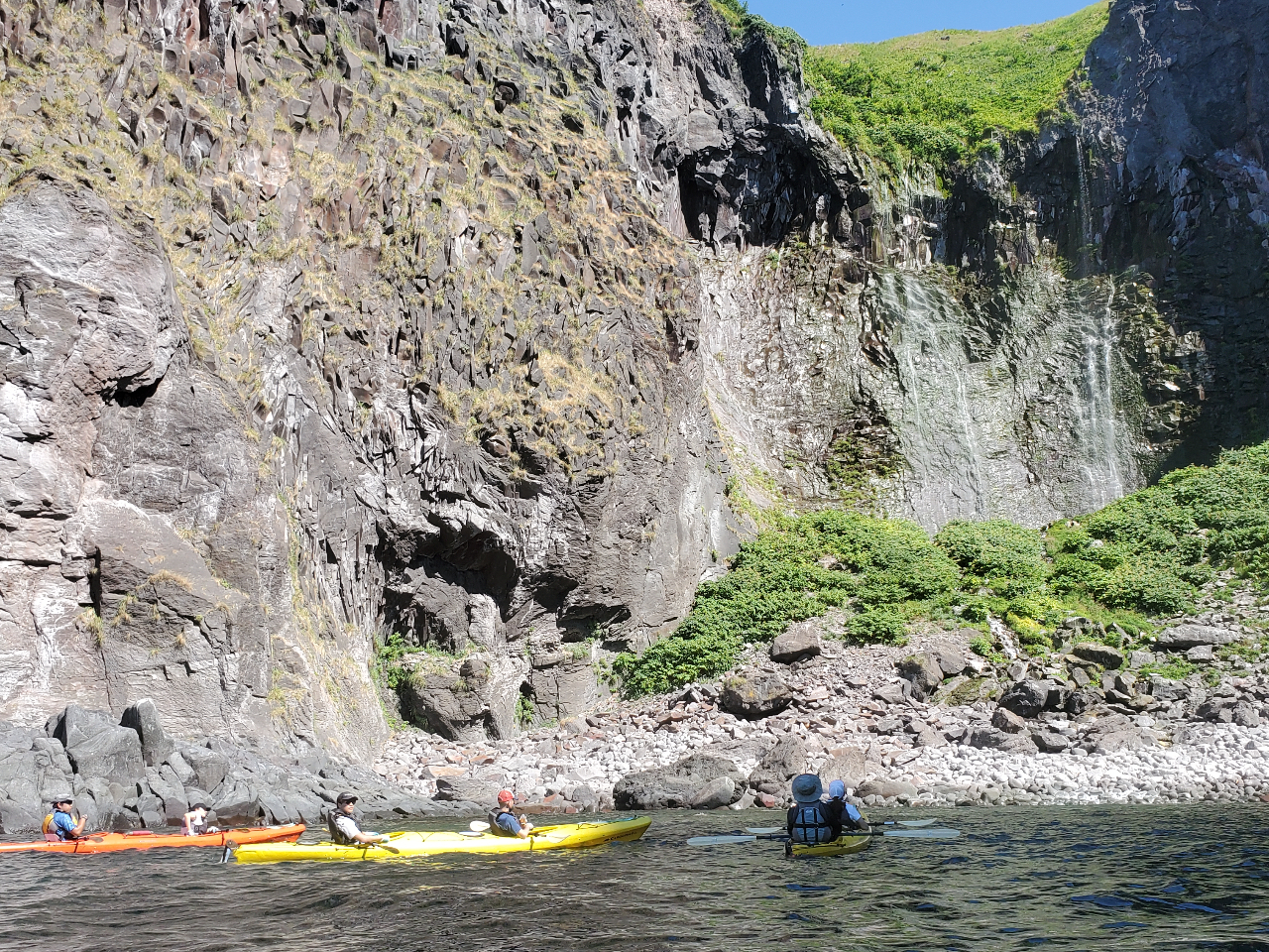 �f�R��ǂ�^�����猩�グ����̂̓V�[�J���b�N�Ȃ�ł́I���͂Ɉ��|����܂��B