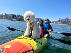 愛犬と一緒にカヤックを楽しめるのも魅力の一つです!