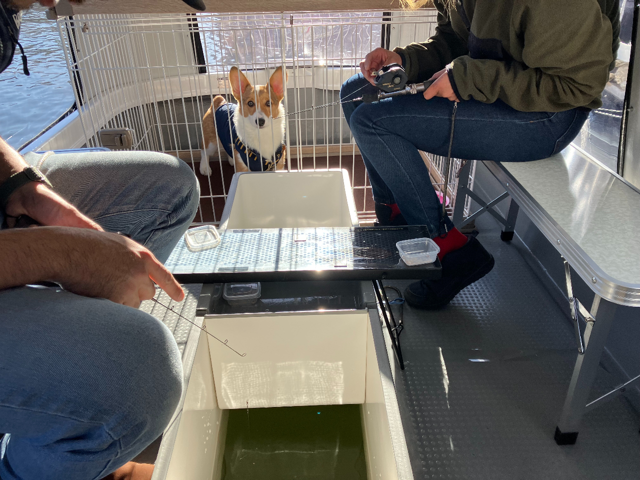 񂿂pQ[ŴňSĂ񂿂ƈꏏɊy߂܂I