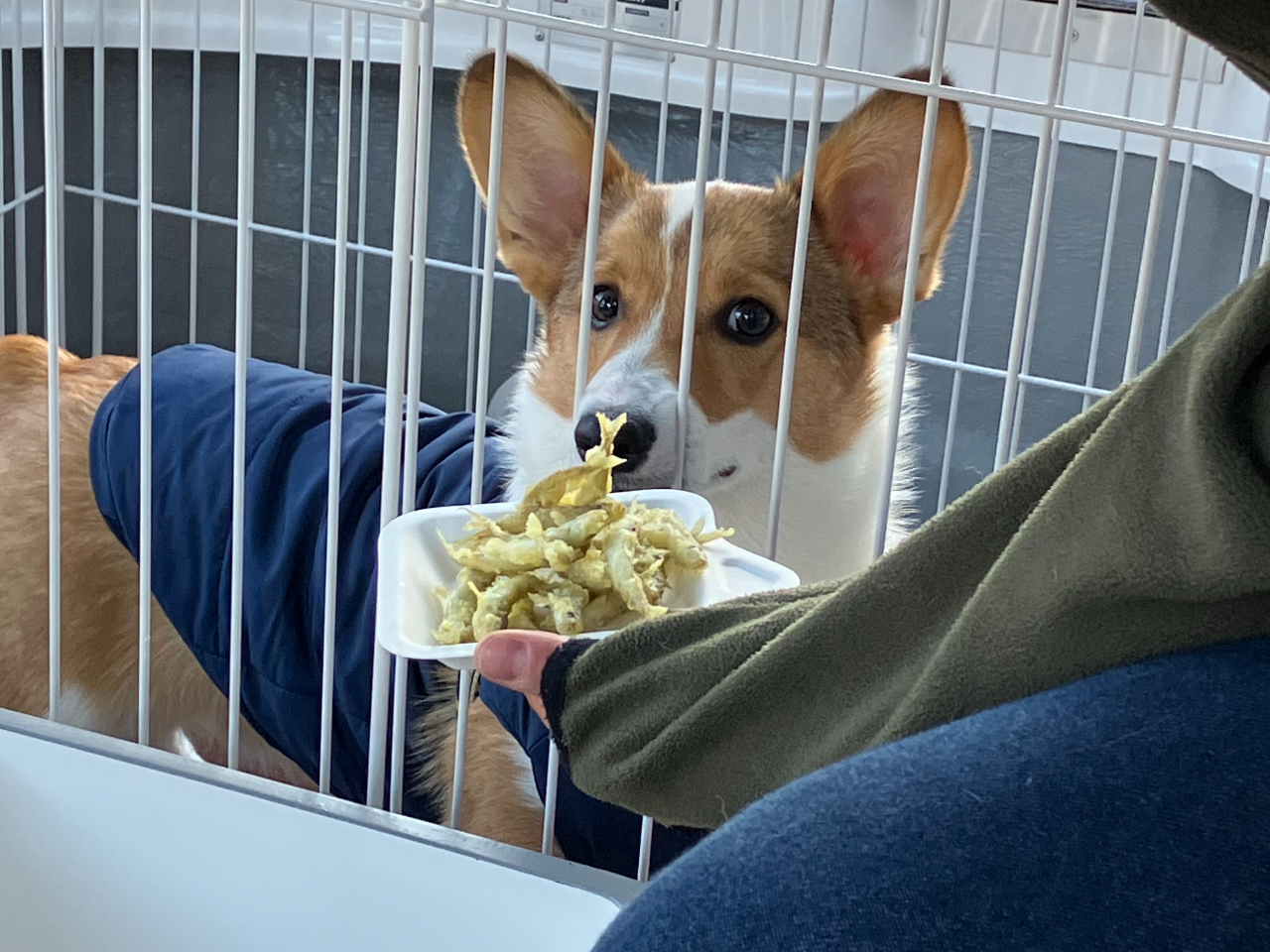 JTM̓VՂ炪łĂ܂I