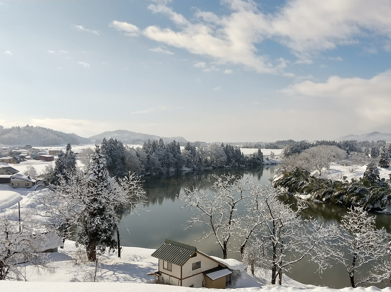 ቺɍLŏ̕i͋G߂ƂɈقȂ\𖣂܂BȂ̂Cɓ͂ǂ̋G߂ł傤H