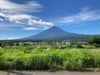 富士山の麓でブルーベリー狩り