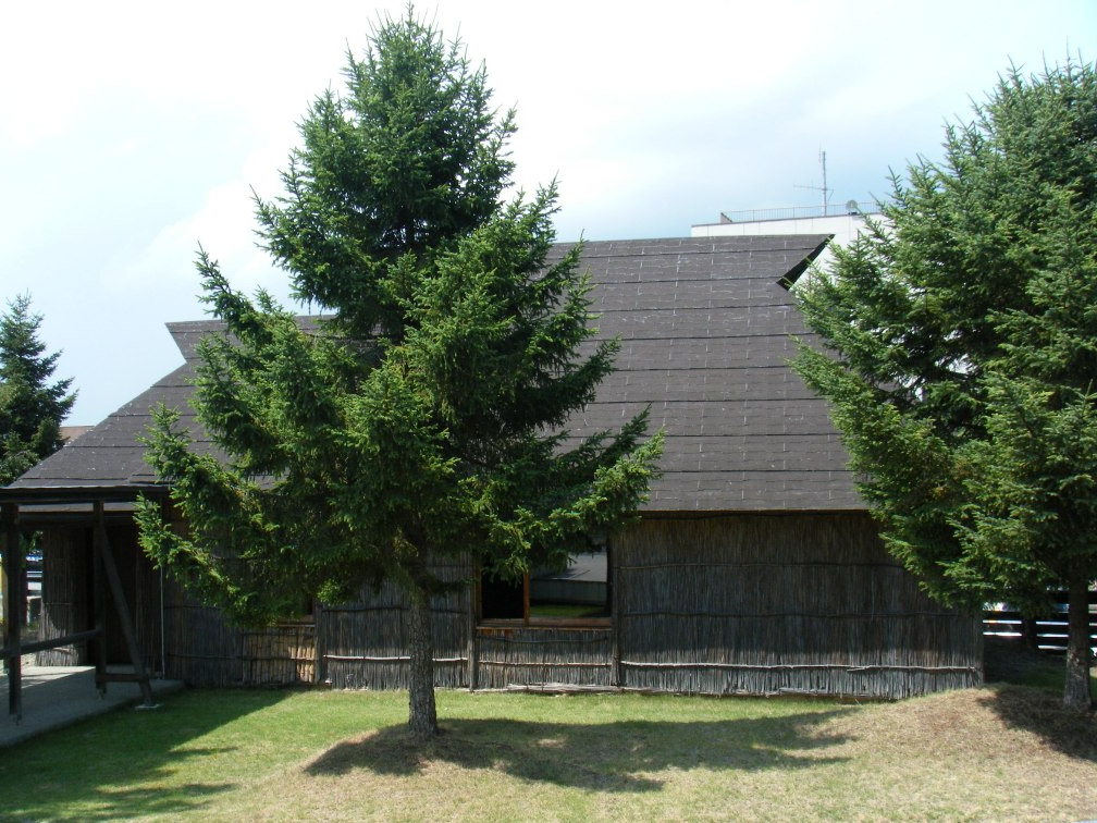 ACkفi`Zjɂ͈͘FȂǂ̃ACkZČ̂AACk̈ߑEpWĂ܂B