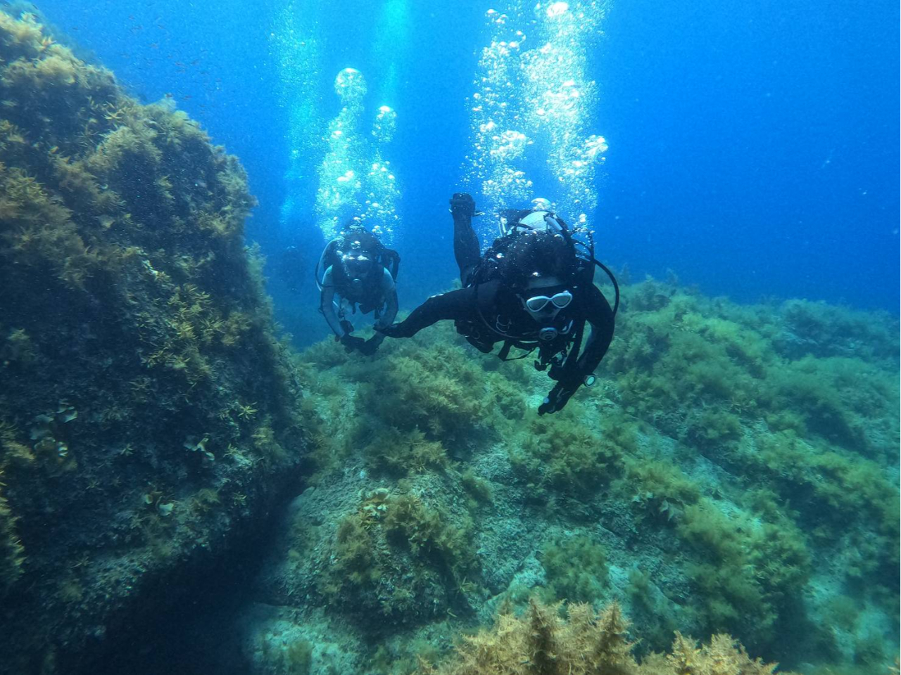 駅送迎有!手ぶラクプラン★器材フルレンタル★でダイビング