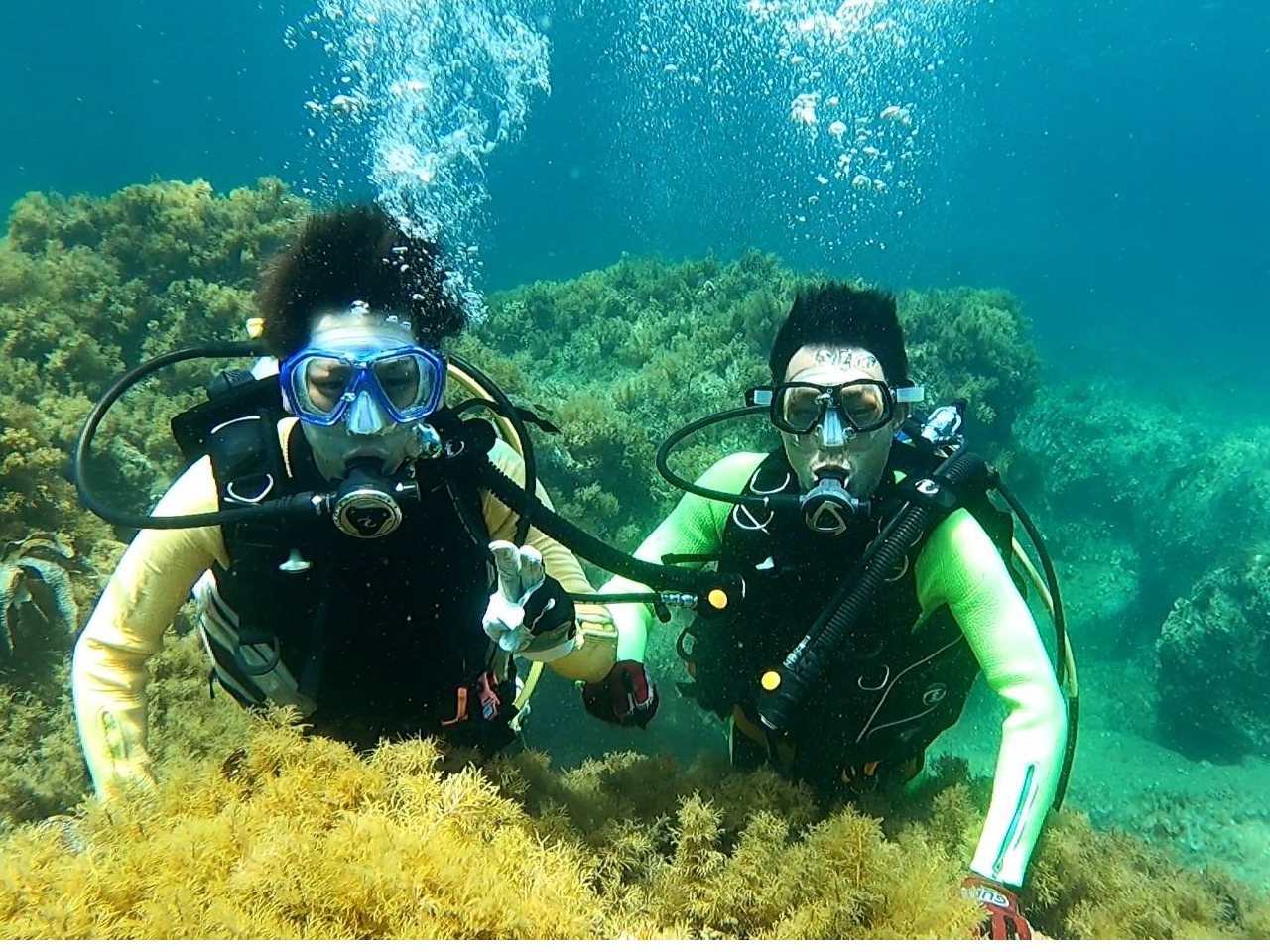 体験ダイビングin越前海岸!インストラクター貸切で、非日常の海の世界へ