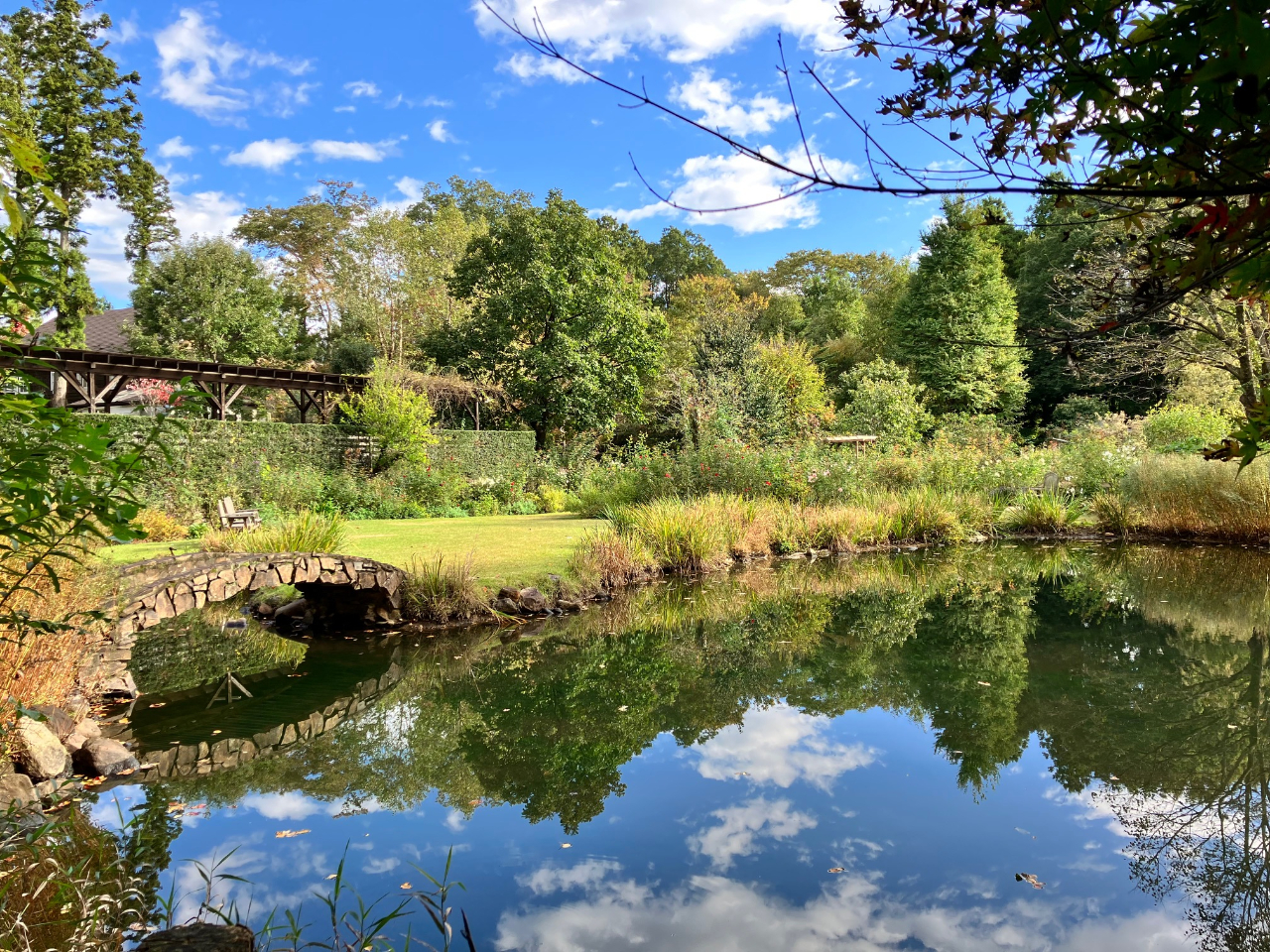 10月中旬、秋の草花が織りなす景色が楽しめるガーデン