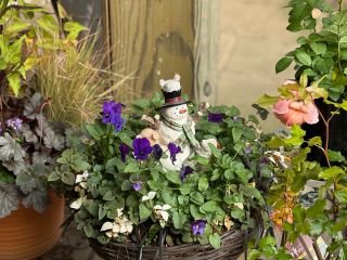 12月も寄せ植え教室開催中です!