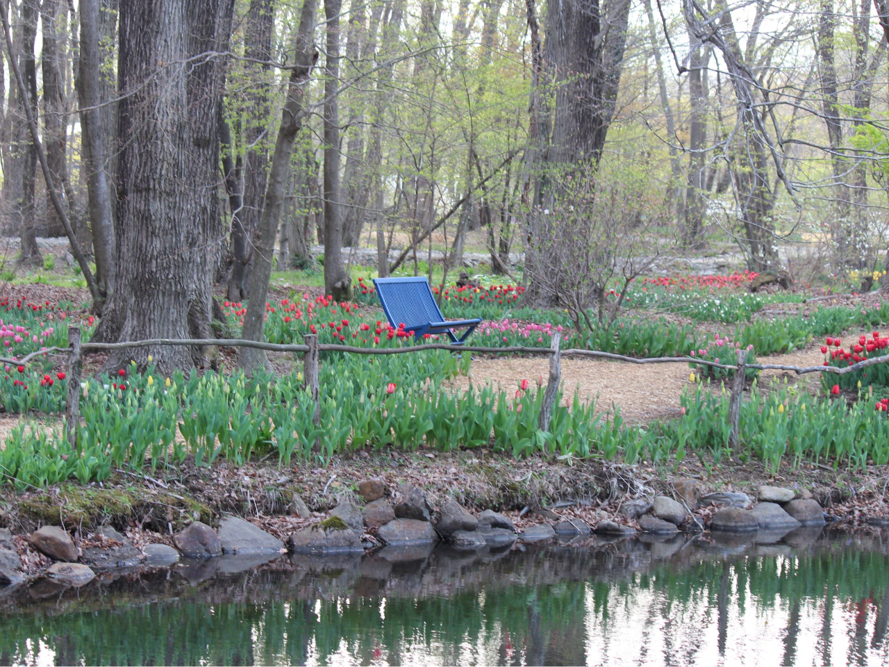 4�����{���̃K�[�f���̗l�q