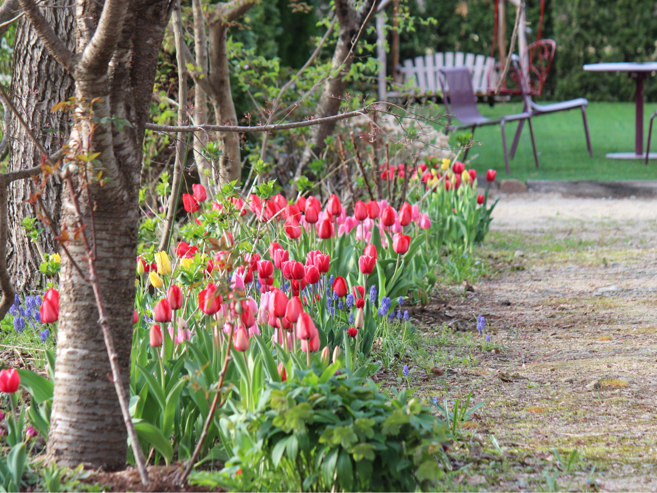 4�����{���̃`���[���b�v