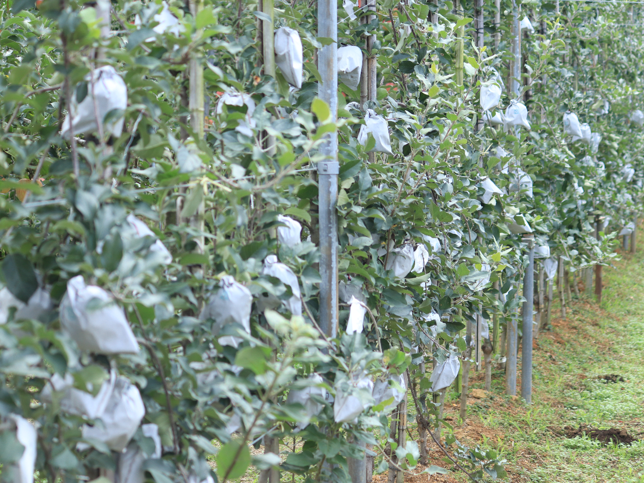 ӂ񂲂͑܂āAĂzA9̏܂҂Ă܂B