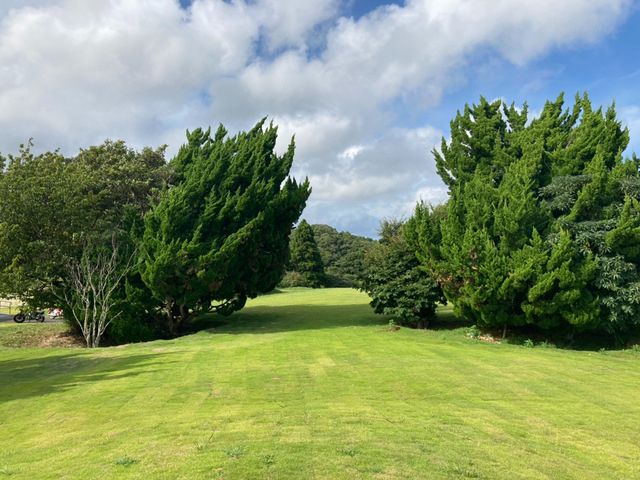 広々としたキャンプサイトです。お好きなエリアを選択できます。