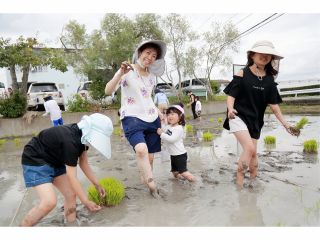 優しい気持ちで育てる無農薬米/*田植え体験*さいとう農園