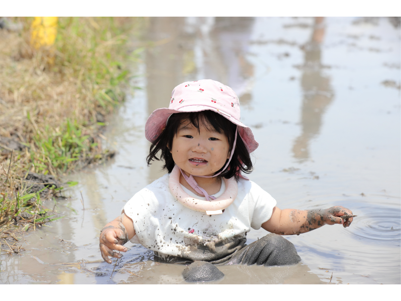 �D�����C�����ň�Ă閳�_���/���c�A���̌��������Ƃ��_��